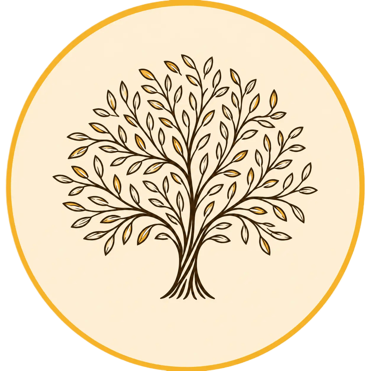 سدرة Evere'a